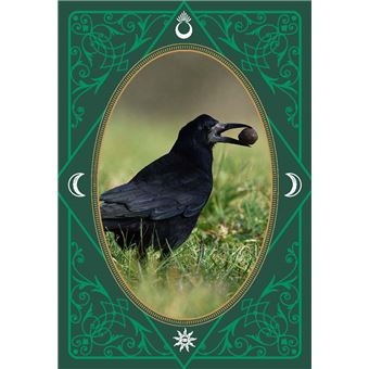 Les messages des oiseaux