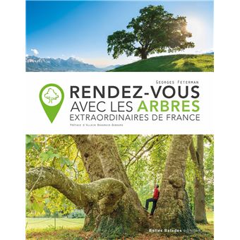 Rendez-vous avec les arbres