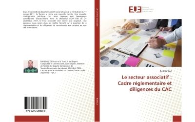 Le secteur associatif: cadre réglementaire et diligences du CAC
