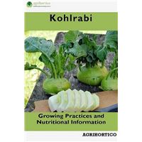 Kohlrabi: Growing Practices and Nutritional Information