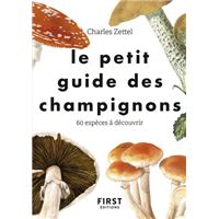 Le petit guide des champignons