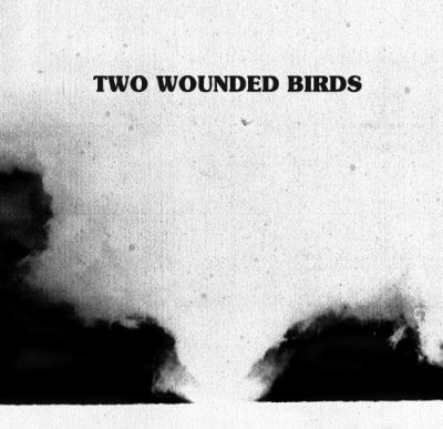 Two wounded birds