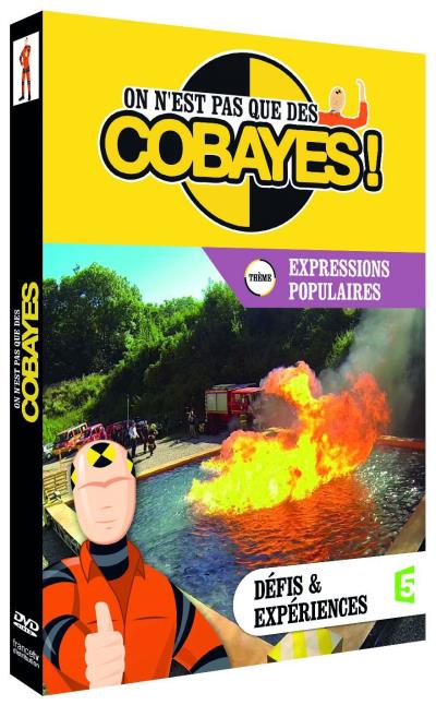 L'intégrale du Volume 3, Expressions populaires DVD