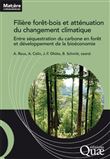 Filière forêt-bois française et atténuation du changement climatique