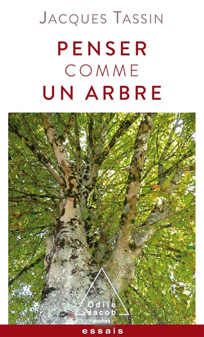 Penser comme un arbre - Jacques Tassin - Poche