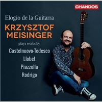 Elogio De La Guitarra