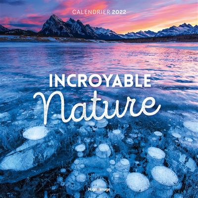 Calendrier mural incoyable nature 2024 : Collectif: : Livres