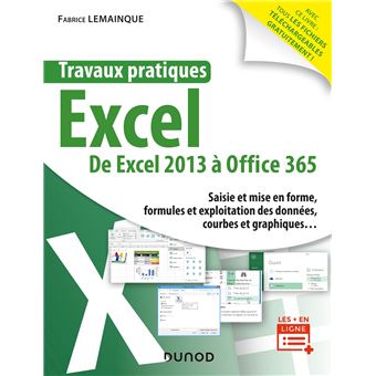 Travaux pratiques - Excel - De Excel 2013 à Office 365