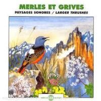 Larger thruses/merles..