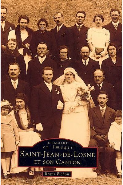 Saint Jean de Losne et son canton