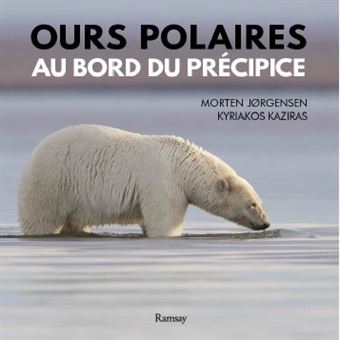 Ours polaire au bors du précipice