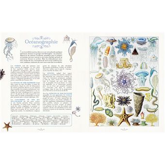 Planches insolites 170 ans de trésors