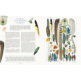 Planches insolites 170 ans de trésors