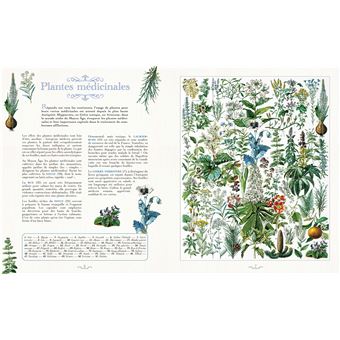 Planches insolites 170 ans de trésors