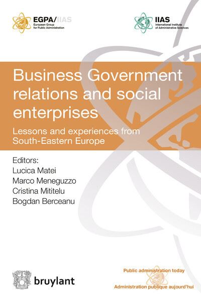 Business Government relations and social enterprises