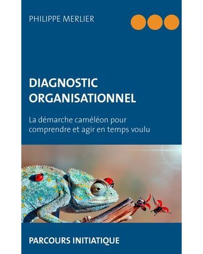 Diagnostic organisationnel