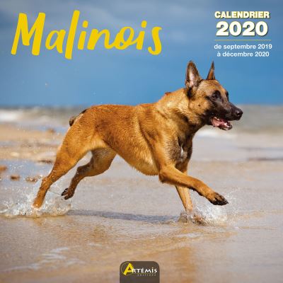 Calendrier malinois (2020)
