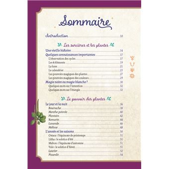 L'herboristerie de la petite sorcière