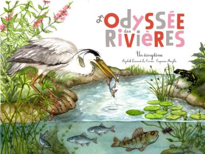 L'odyssée des rivières (coll. ohé la science !)