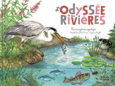 L'odyssée des rivières (coll. ohé la science !) - Elisabeth Dumont-Le Cornec - cartonné
