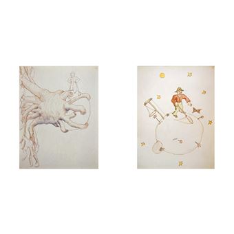 Antoine de Saint Exupéry - L'aventure des ailes à la plume