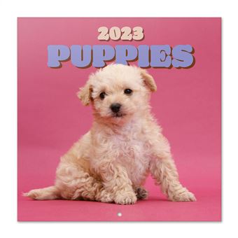 Calendrier mural 2023 Dogs