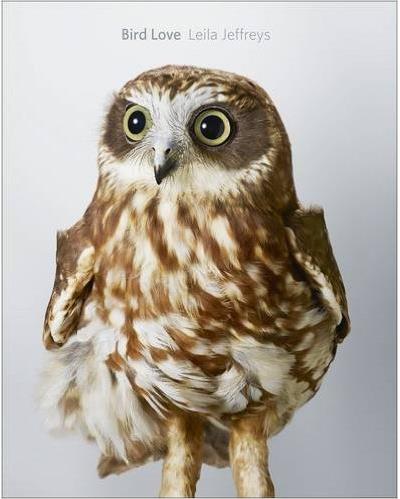 BIRD LOVE