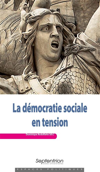 La democratie sociale en tension