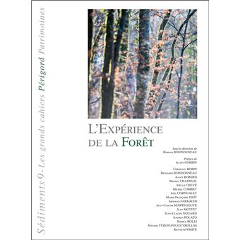 L'expérience de la forêt