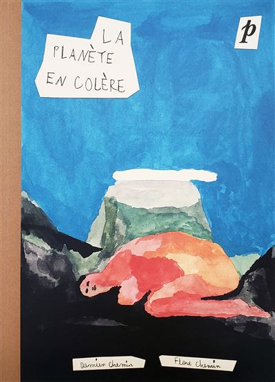 La Planète en colère - Damien Chemin - broché