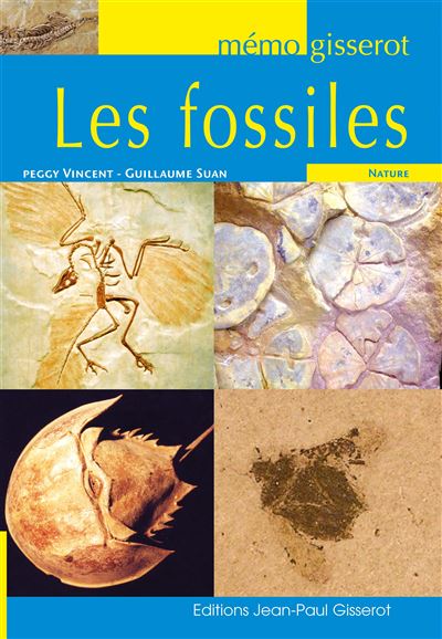 Les fossiles - Peggy Vincent - broché