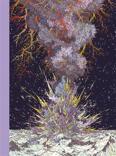 L'année de la comète