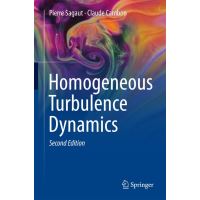 Homogeneous Turbulence Dynamics