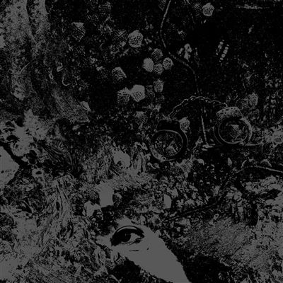 Primitive Man Unearthly Trance