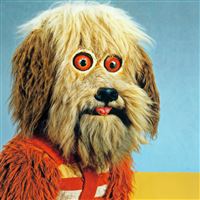 Analysis Paralysis - CD