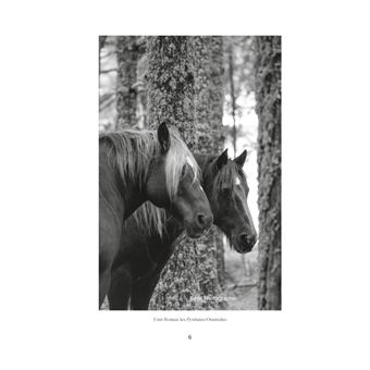 Ces fragments de vie...