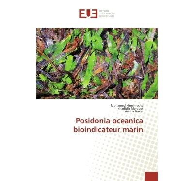 Posidonia oceanica bioindicateur marin
