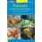 Poissons et animaux etranges des cotes de france_0