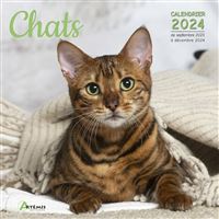 Calendrier 2024 Les Chatons, PAPETERIE, AGENDA / CALENDRIER - Maxilivres