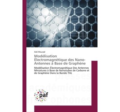 Modelisation electromagnetique des nano-antennes a base de g