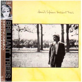 Brilliant trees/pochette cartonnee