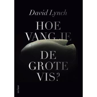 Hoe vang je de grote vis?