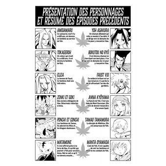 Shaman King (Star Edition) - Tome 17