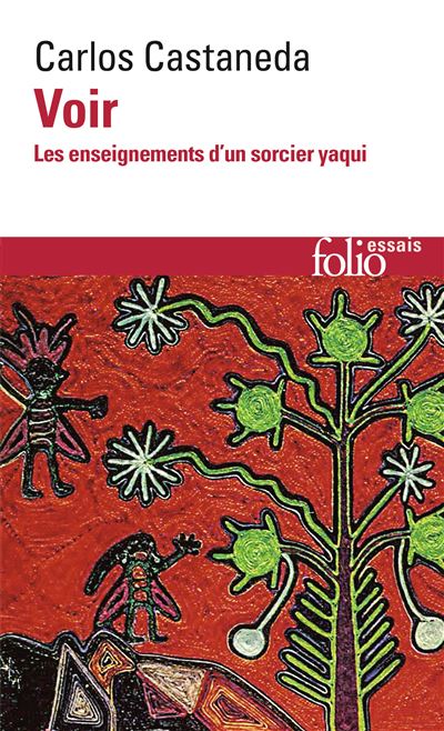 Voir - Carlos Castaneda - Poche