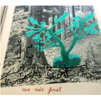 Ma mie forêt - Digipack