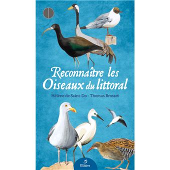 Reconnaître les oiseaux du littoral