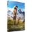 Le NID du Tigre-DVD