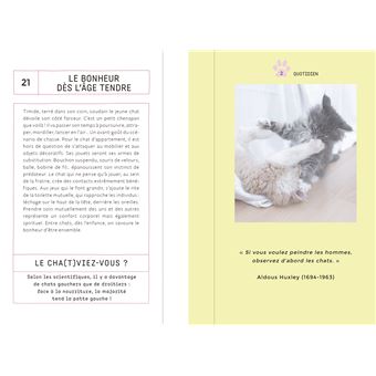 Petit traité de cha(t)gesse