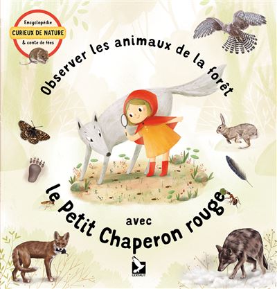 Observer les animaux de la forêt avec le Petit Chaperon rouge - Jana Sedlakova - cartonné