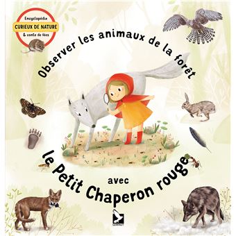 Observer les animaux de la forêt avec le Petit Chaperon rouge